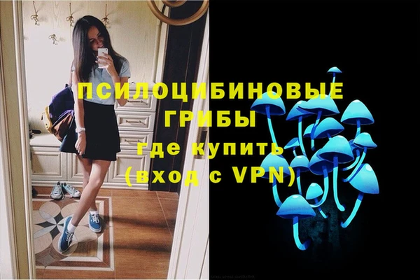 скорость Абаза