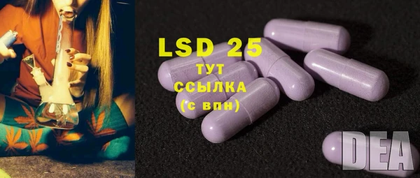 гидра Алексеевка