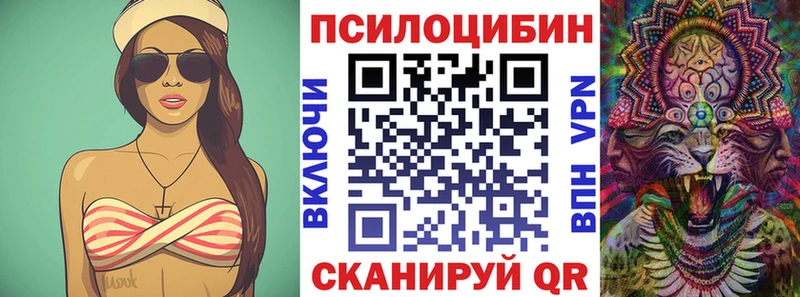 Галлюциногенные грибы MAGIC MUSHROOMS  где купить наркоту  Кизилюрт 